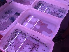 -华声天桥民俗文化园