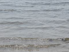 -金梦海湾浴场