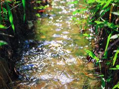-同里国家湿地公园
