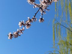 -三里河公园