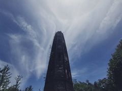 -上海佘山国家森林公园天马山园