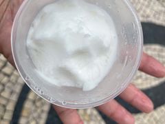 -洪馨椰子