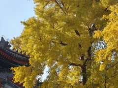 -承恩寺