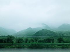 -黑河国家森林公园