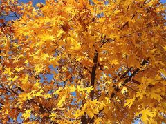 -白水寺森林公园