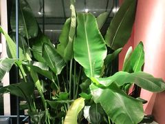 -Toris(LuOne凯德晶萃广场店)