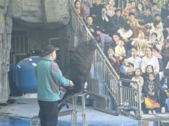 -合肥野生动物园