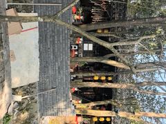 -土砂锅生态山庄·非遗砂锅雅鱼