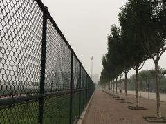 -南开大学滨海学院