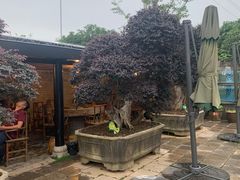 -天怡·鱼工厂(临江店)