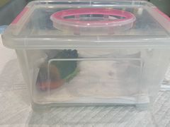 -雨林宠物医院 非犬猫异宠专科