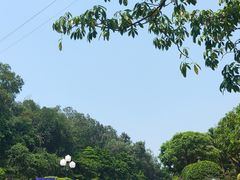 -广州莲花山旅游区
