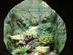 -杭州长乔极地海洋公园