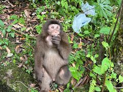 -西岭雪山大飞水景区