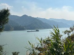 -羚羊峡古栈道森林公园