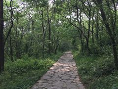 -南京金牛湖风景区