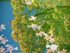 -香山公园