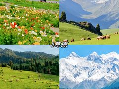 -新疆那拉提国家旅游度假区