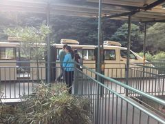 -溪口-滕头旅游景区