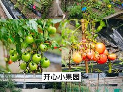 -上海佘山茂御臻品之选酒店(原佘山艾美酒店)