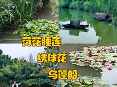 -洛阳市隋唐城遗址植物园