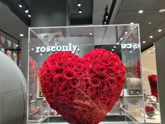 -ROSEONLY诺誓(青岛万象城店)