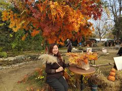 -HERRE·FARM 赫尔露营农场·团建聚会包场