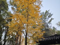-成都杜甫草堂博物馆