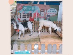 -佟小曼手工茶饼坊(鼓浪屿1店)