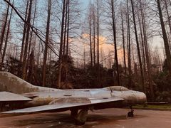 -东平国家森林公园