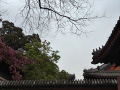 -北京艺术博物馆(万寿寺)
