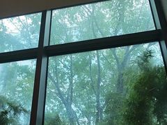 -梅花境(万科店)