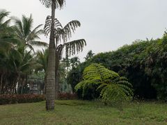 -中国科学院西双版纳热带植物园