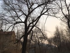 -井塘古村