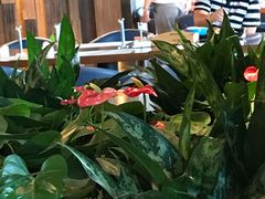 -三亚湾海居铂尔曼度假酒店