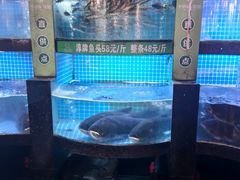 -千岛湖小鱼儿·淳安匠心农家菜