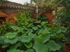 -园林美食城·本土农家菜(杨和镇店)