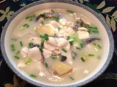 微山湖黑鱼-微山湖湖畔好客居鱼馆渔家菜(微山湖风景区店)