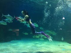 -常州海昌海洋探索馆