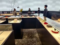 -BLACKSWAN黑天鹅(环球店)