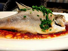 油淋鲈鱼-千日贺茶餐厅(高新万达店)