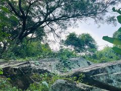 -青芝山风景名胜区