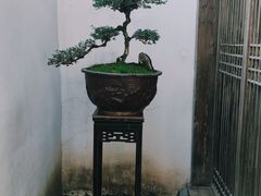 -凤凰山斑鱼馆(恭城店)