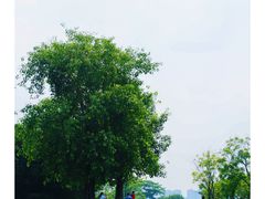-顺峰山公园