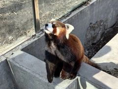 -水上乐园·欢乐世界