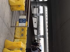 -演武大桥观景平台