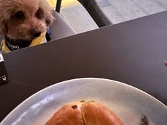 -ommo cafe(半岛城邦店)