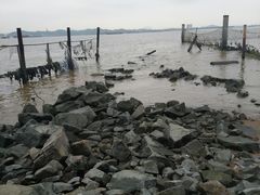 -鹿福农庄(南沙天后宫店)