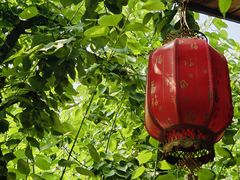 -香木香羊(小汤山店)