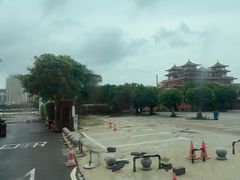 -野狸岛